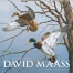 David Maass Executive Spiral Calendar
