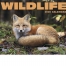 Wildlife II Calendar