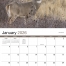 Wildlife II Calendar