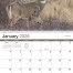 Wildlife II Spiral Calendar