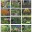 Gardens Calendar