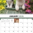 Four Paws Spiral Calendar