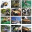 Fisherman&#039;s Guide Calendar