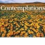 Contemplations Calendar