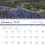 Contemplations Spiral Calendar