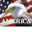 Patriotic America Calendar