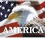 Patriotic America Spiral Calendar