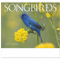 Nature&#039;s Songbirds Calendar