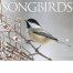 Nature&#039;s Songbirds Calendar