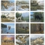 Wildlife Collection Calendar
