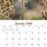 Animal Babies Calendar