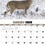 Trophy Whitetails Calendar