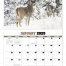 Trophy Whitetails Calendar