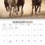 Horses Calendar