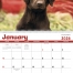Puppies Calendar