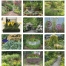 Gardens  Calendars I