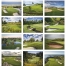 Golf Calendar