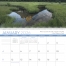 Scenic Inspiration Calendars