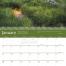 Religious Inspirations Calendar