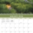 World of Inspiration Calendar