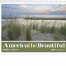 America the Beautiful with Recipes Calendar