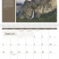 America the Beautiful with Recipes Calendar