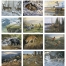 Wildlife Art Calendar