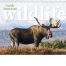 North American Wildlife Calendar