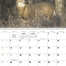 Great Lakes Sportsman Calendar