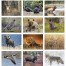 Great Lakes Sportsman Calendar