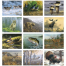 Wildlife Art by the Hautman Brothers Calendar