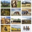 Visions of the West Calendar