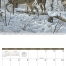 Wildlife Art II Calendar