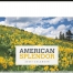 American Splendor IV Calendar