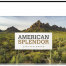 American Splendor IV Calendar