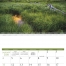 Bible Passages Calendar