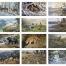 Wildlife Art (12 Sheet) Calendar