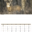 North American Wildlife Calendar II