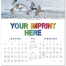 North American Waterfowl Calendar