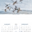 North American Waterfowl Calendar