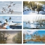 North American Waterfowl Calendar