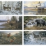 Wildlife Art (6 Sheet) Calendar