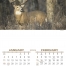 Wildlife (6-Sheet) Calendar