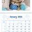 Puppies &amp; Kittens Pocket Calendar