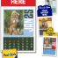 Triumph Swimsuit Stick Up Calendar, Foil Stamped
