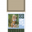 Triumph Swimsuit Stick Up Calendar, Foil Stamped