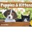 Puppies &amp; Kittens Spiral Calendar