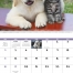 Puppies &amp; Kittens Spiral Calendar