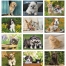 Puppies &amp; Kittens Spiral Calendar