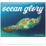 Ocean Glory Spiral Calendar